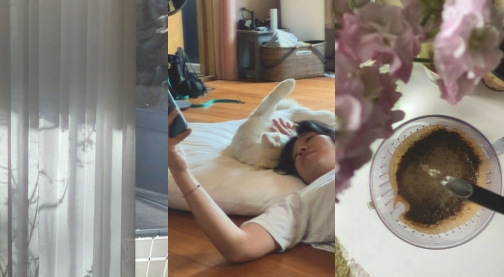 /사진 = 안테나