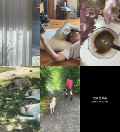 커피·반려견 그리고 이효리…이상순, 평온한 하루 담긴 '완벽한 하루' 티저