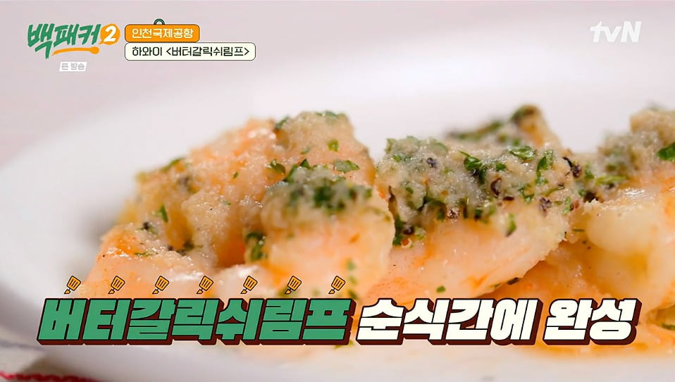 사진 = tvN '백패커2'