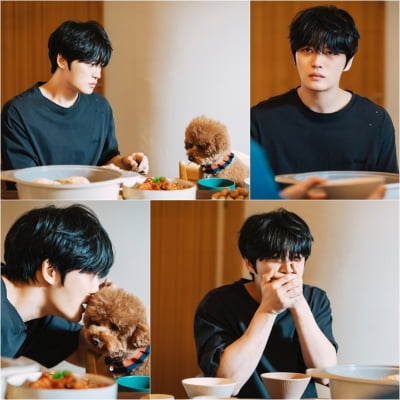 김재중, 한류스타인데…개한테도 무시당하네…('나쁜 기억 지우개')