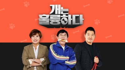 '갑질 논란' 강형욱 빠지니…'개훌륭' 잠정 폐지 "리뉴얼 할 예정" [TEN이슈]