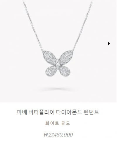 '돌싱' 기은세, 이번엔 주얼리만 '1억 넘게' 치장…명품 중독이네