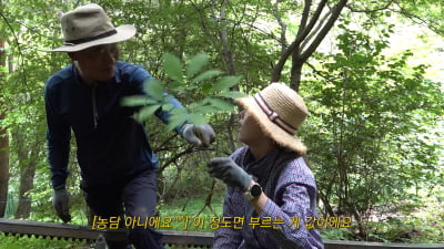 [종합] 한혜진, 500평 별장 살더니…'특급 산삼'으로 심봤다 "부르는 게 값" ('한혜진')