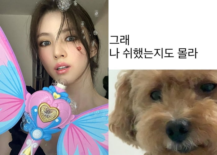 사진=한소희 SNS