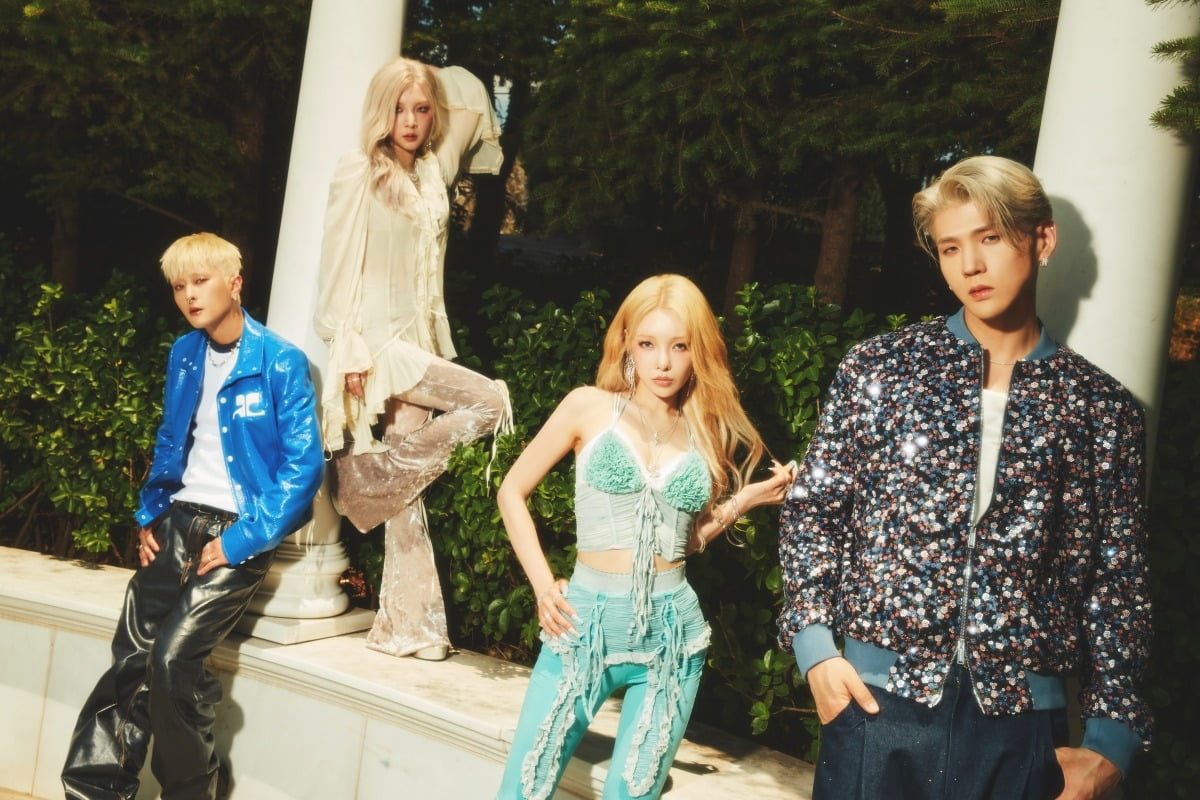 그룹 카드/사진제공=RBW, DSP미디어