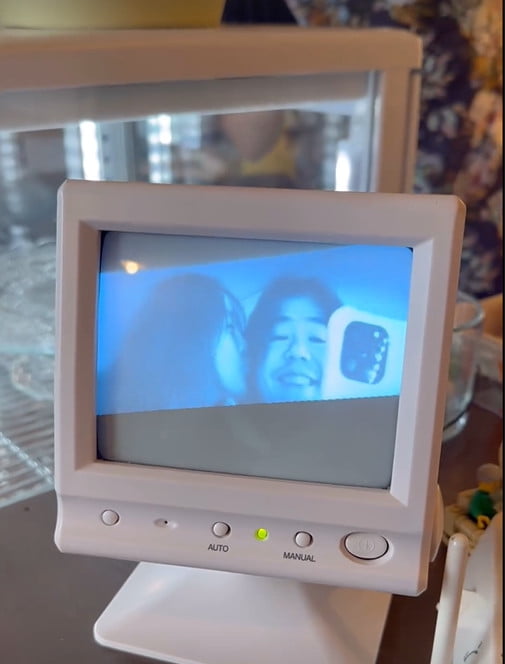 사진=이효리 SNS