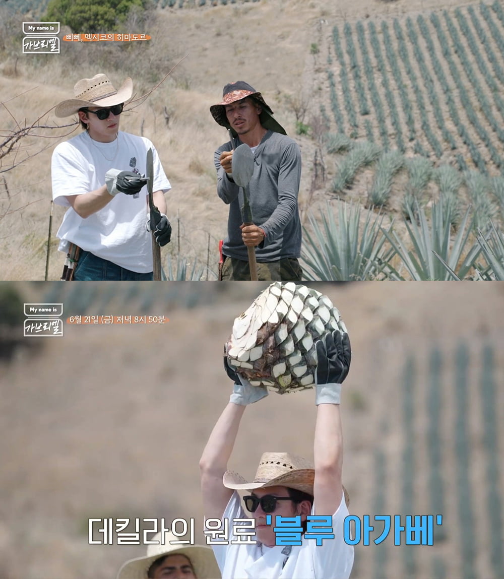 / 사진=JTBC 'My name is 가브리엘'