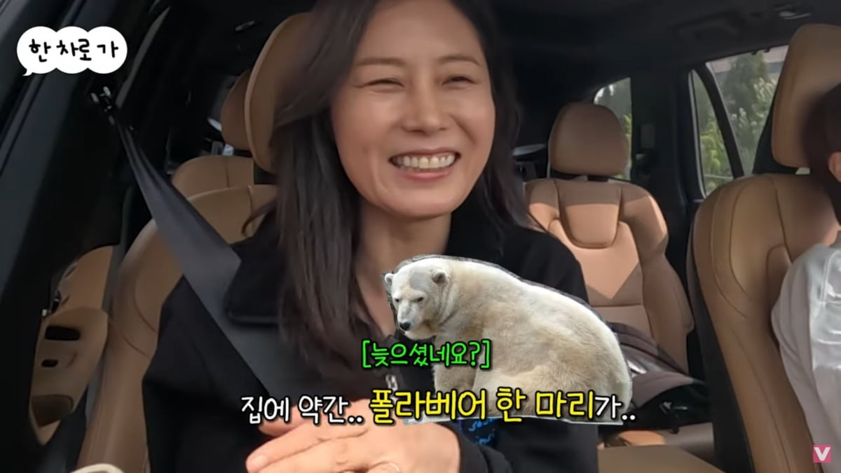 사진=유튜브 '비보티비'