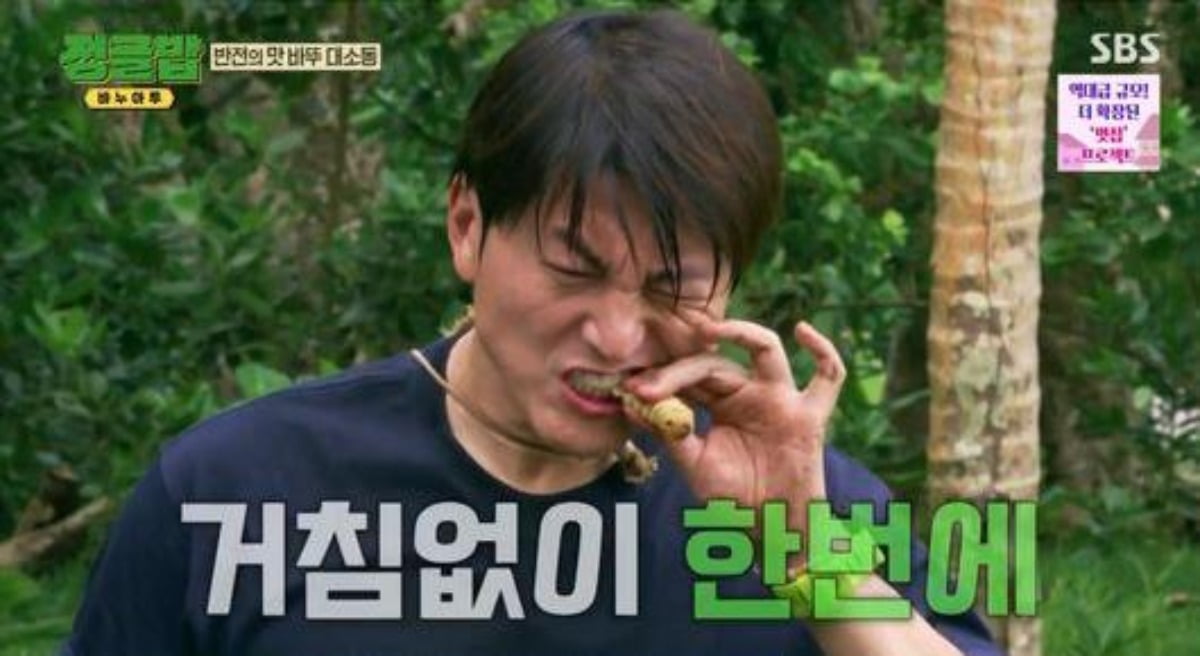 사진=SBS 예능프로그램 '정글밥' 캡처