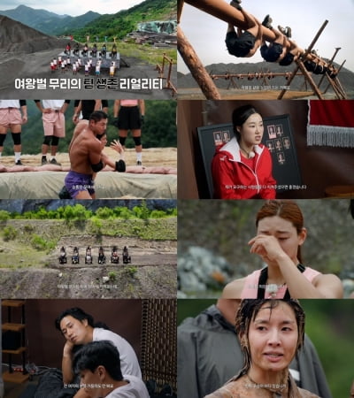 “XX, 이게 맞냐고?”→"입 다물어"…'피지컬100' 작가, 이번엔 '여왕벌 게임'
