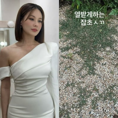 '3억 전원주택 거주' 아이비, 한눈판 사이 마당 차지한 잡초에 "이 XX" 분노