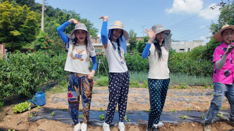 KBS '6시 내고향'에 출연한 그룹 르세라핌 /사진 = KBS