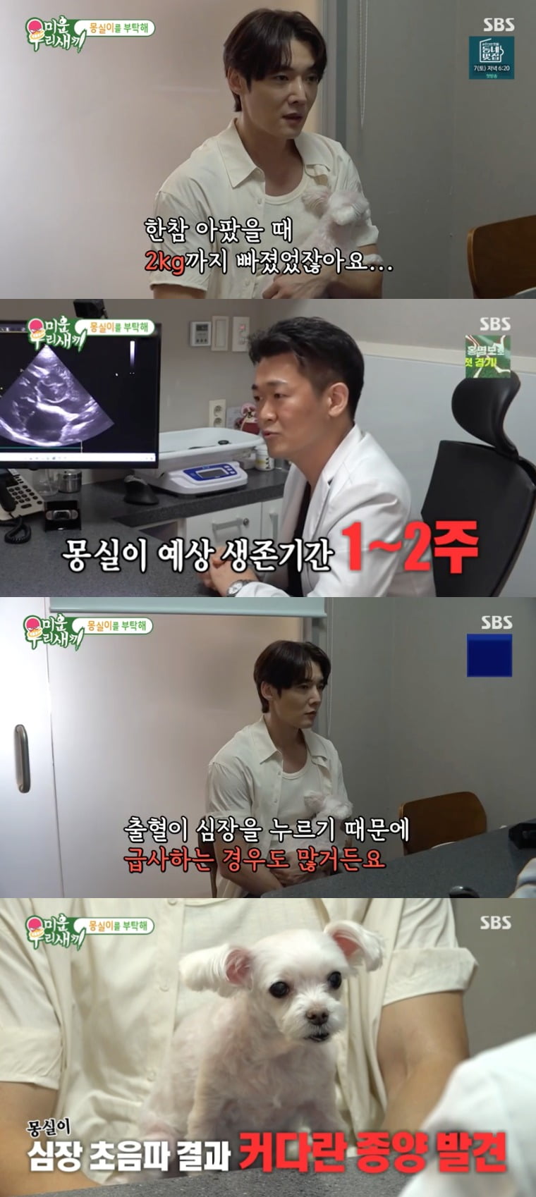 사진 = SBS '미운 우리 새끼'