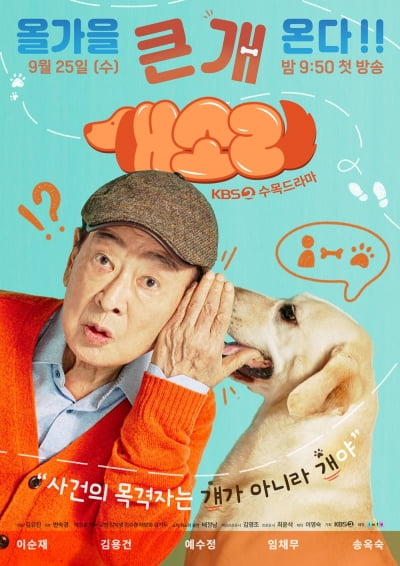 이순재, 촬영장서 갑질하더니…결국 작품서 하차 ('개소리')