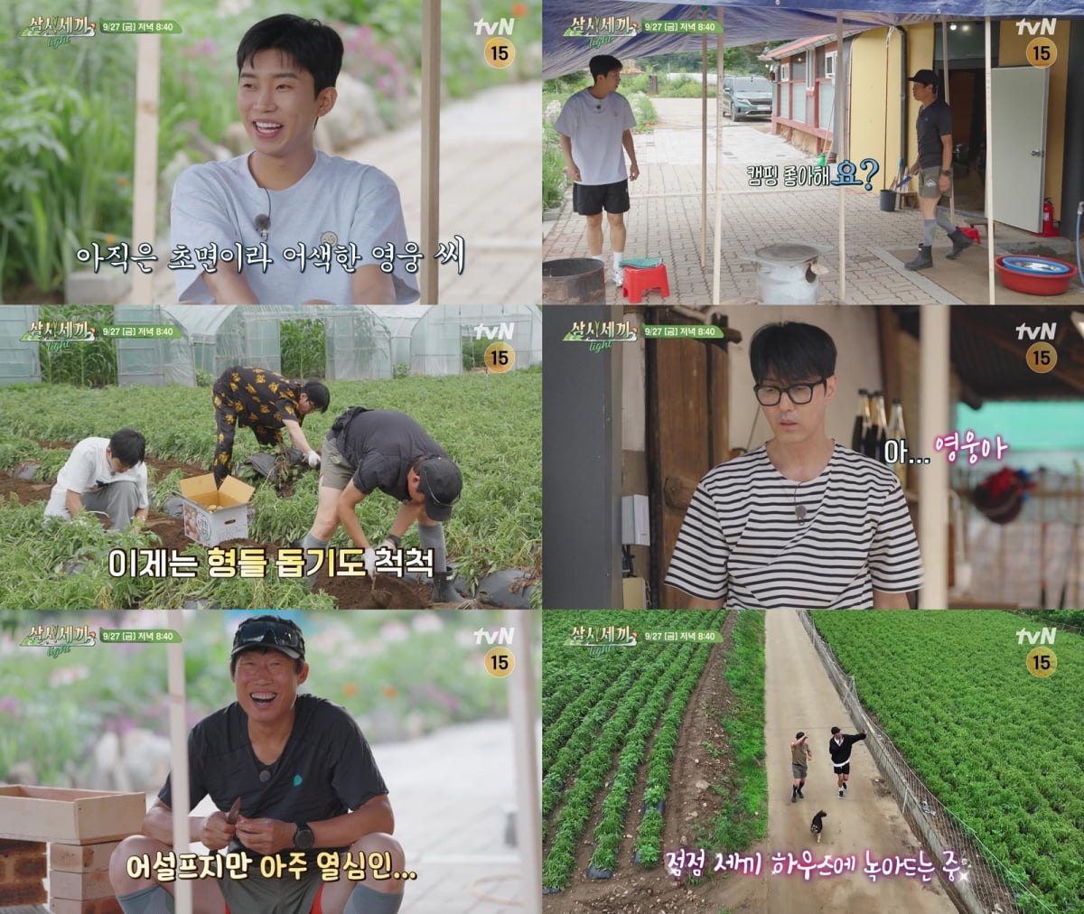 사진 제공: tvN