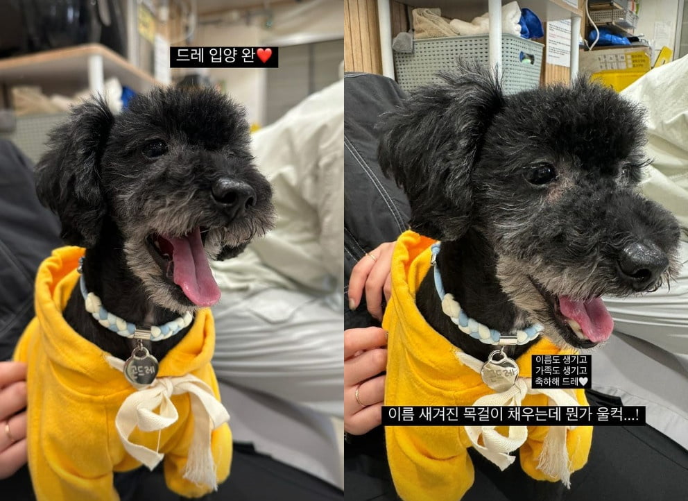사진=남보라 SNS