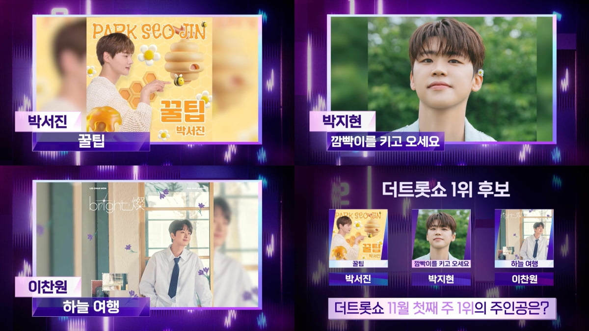 더 트롯쇼