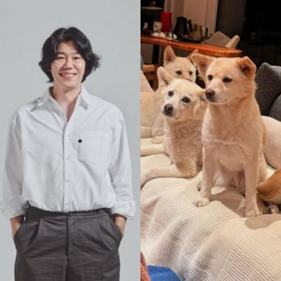 이상순♥이효리, 평창동 생활 어떤가 보니…못 보던 반려견들로 '뉴하우스' 완성
