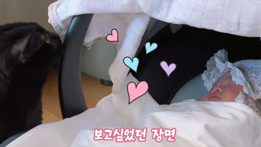 사진 = 유튜브 채널 '박수홍 행복해다홍'