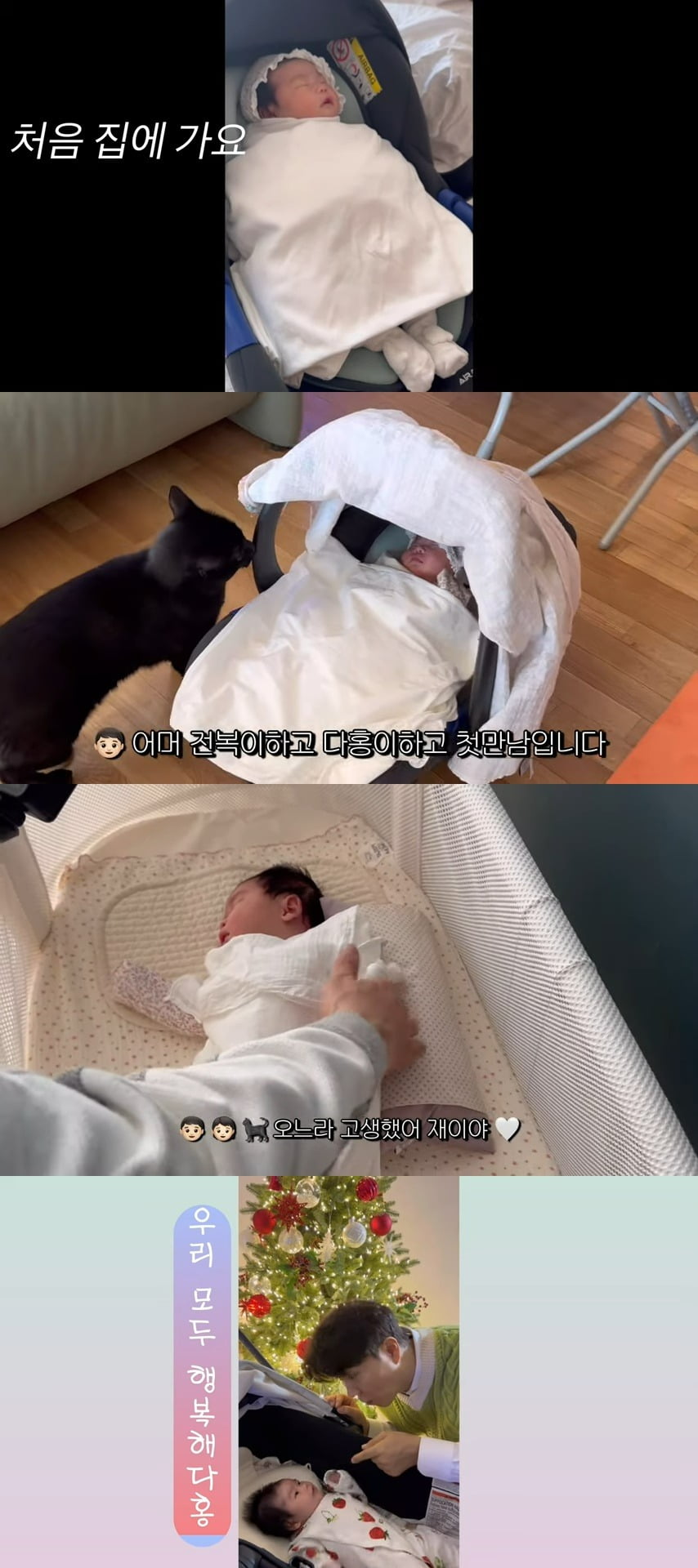 사진 = 유튜브 채널 '박수홍 행복해다홍'