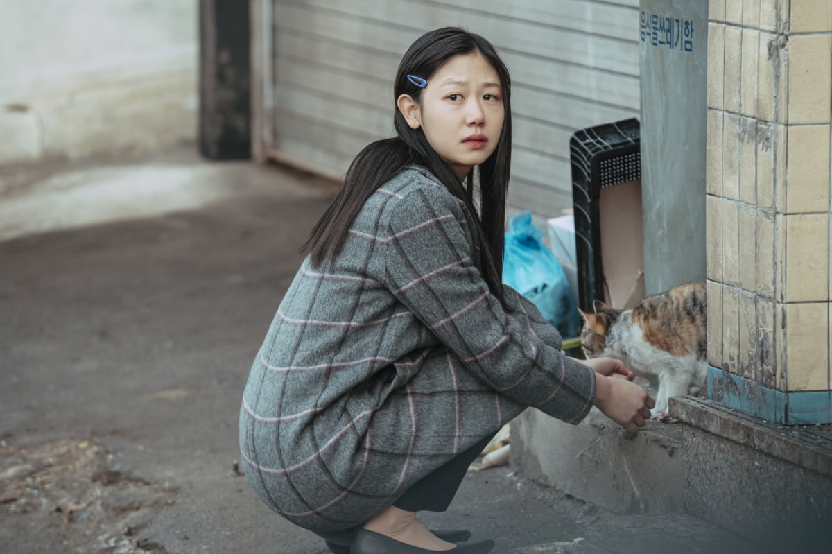 [공식] 수지·김수현 뛰어 넘었다…배두나·류승범 '가족계획', 쿠팡플레이 역대 최고 오프닝