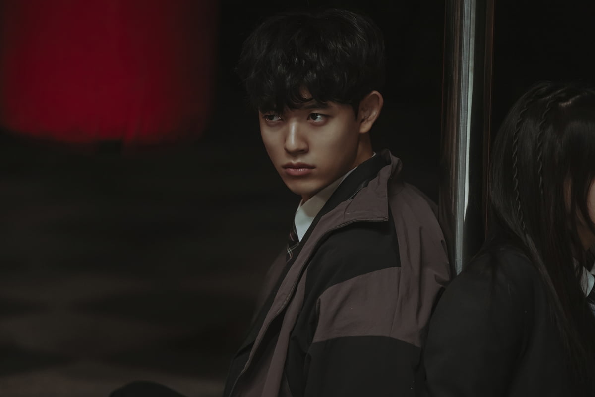 [공식] 수지·김수현 뛰어 넘었다…배두나·류승범 '가족계획', 쿠팡플레이 역대 최고 오프닝