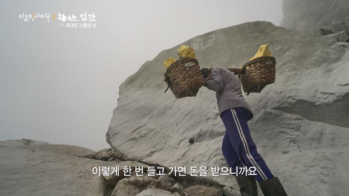 "아들은 안 했으면"…맨몸 벌꿀 채집→독한 유황 가스, 가족 위해 위험 감수('화산, 인간')