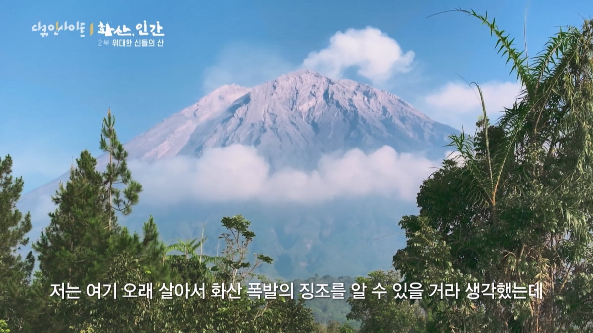 "아들은 안 했으면"…맨몸 벌꿀 채집→독한 유황 가스, 가족 위해 위험 감수('화산, 인간')
