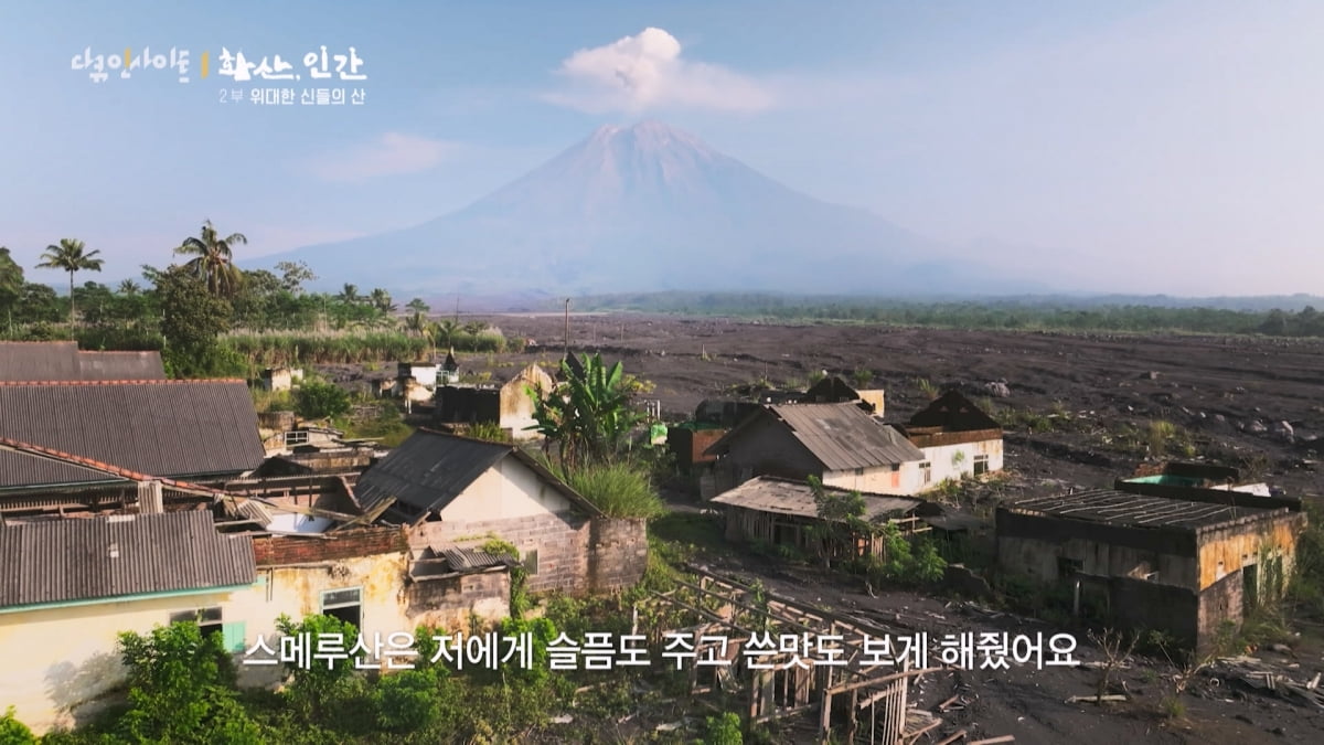 "아들은 안 했으면"…맨몸 벌꿀 채집→독한 유황 가스, 가족 위해 위험 감수('화산, 인간')