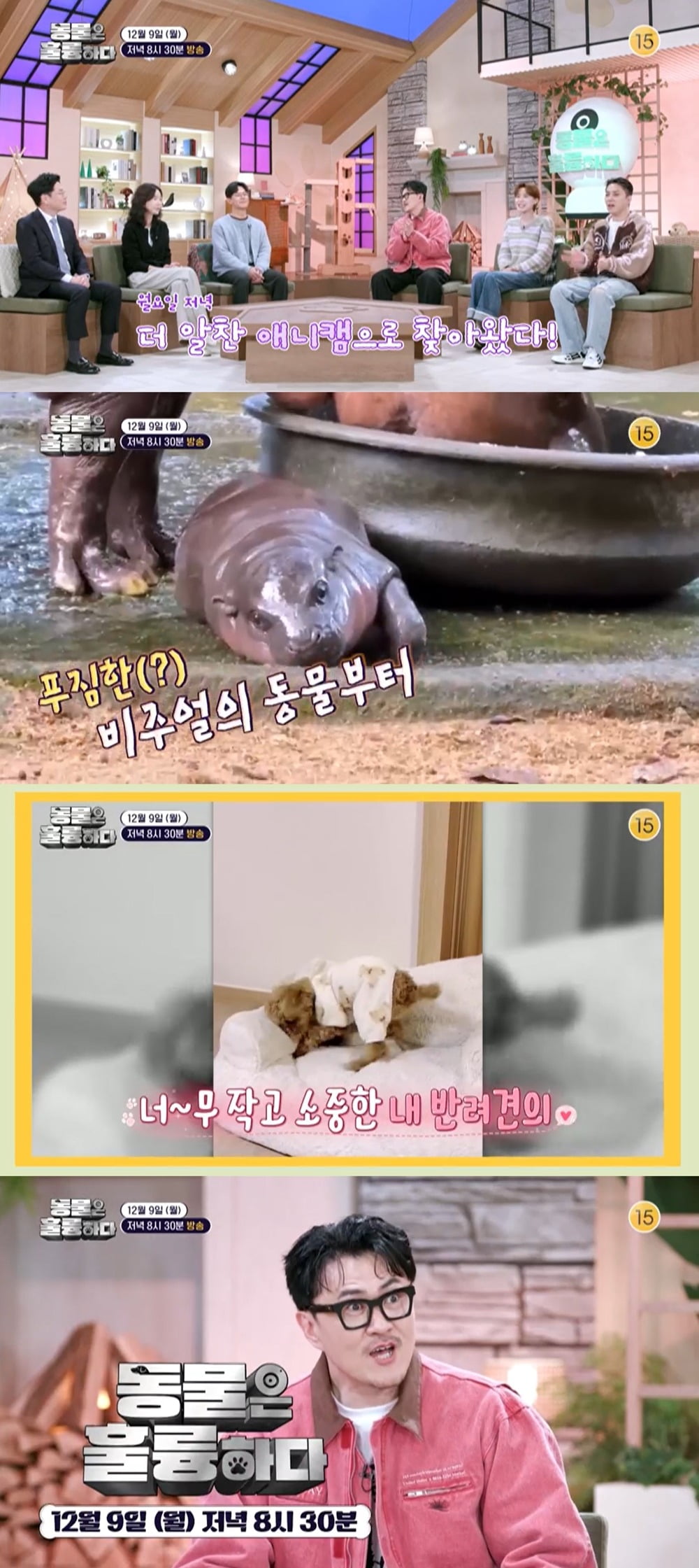 사진=KBS2 '동물은 훌륭하다' 제공