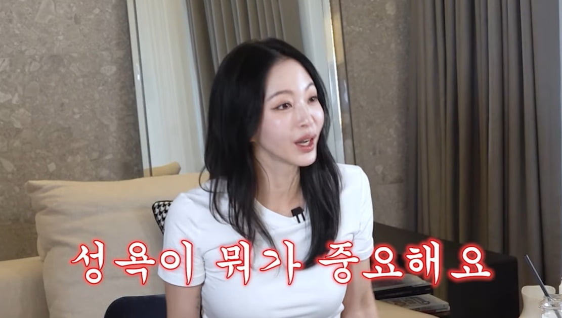 사진=유튜브 채널 '한예슬is' 캡처