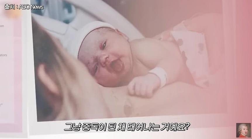 사진 = 유튜브 채널 '공부왕찐천재 홍진경'