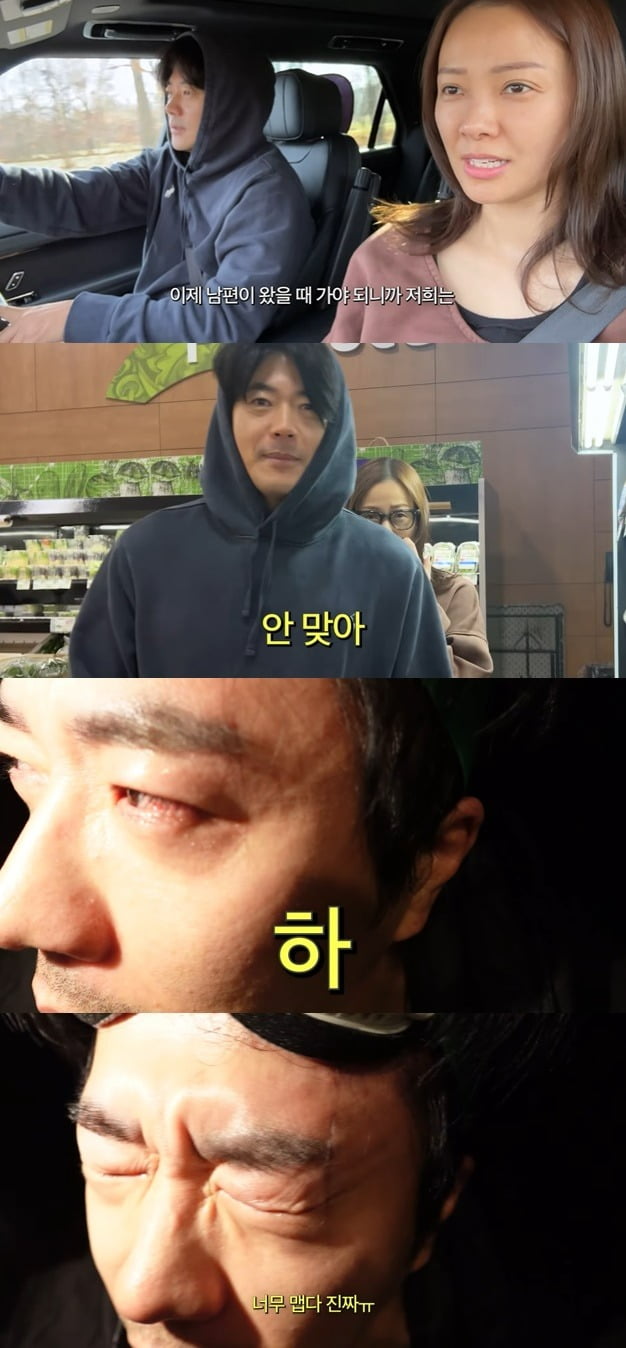 사진 = 유튜브 채널 '뉴저지 손태영'