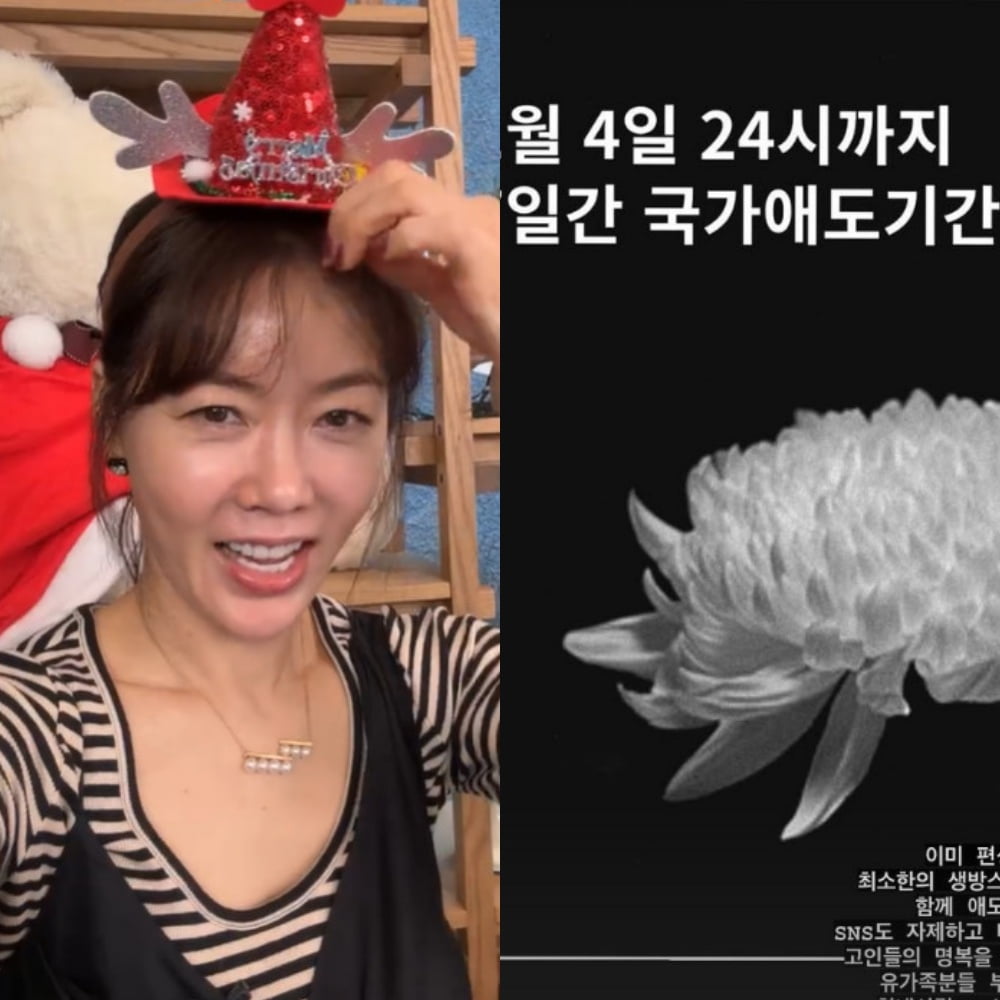 사진=안선영 SNS
