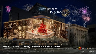 [공식] 박진영→잔나비 못 본다…KBS 2025 카운트다운 쇼, 2만명 몰렸지만 결국 취소