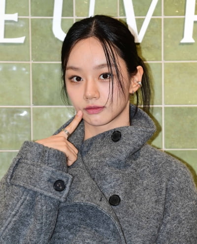 혜리, 악플러 무더기 고소…"합의·선처 없다"