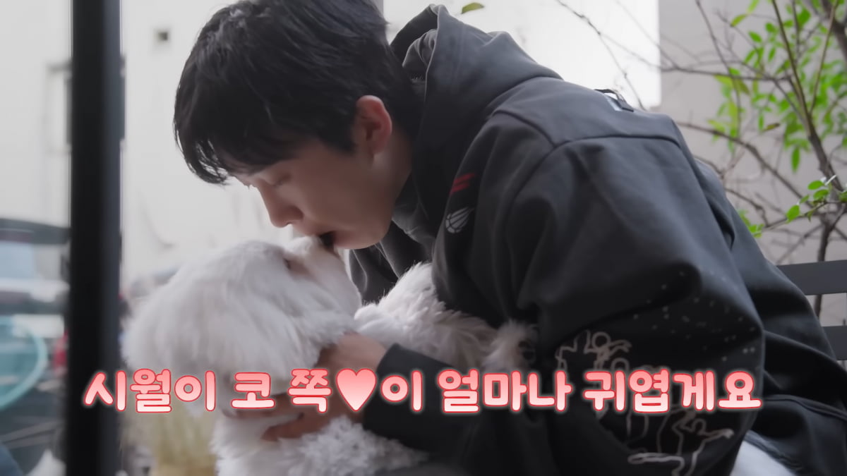 사진=유튜브 채널 '임영웅' 갈무리