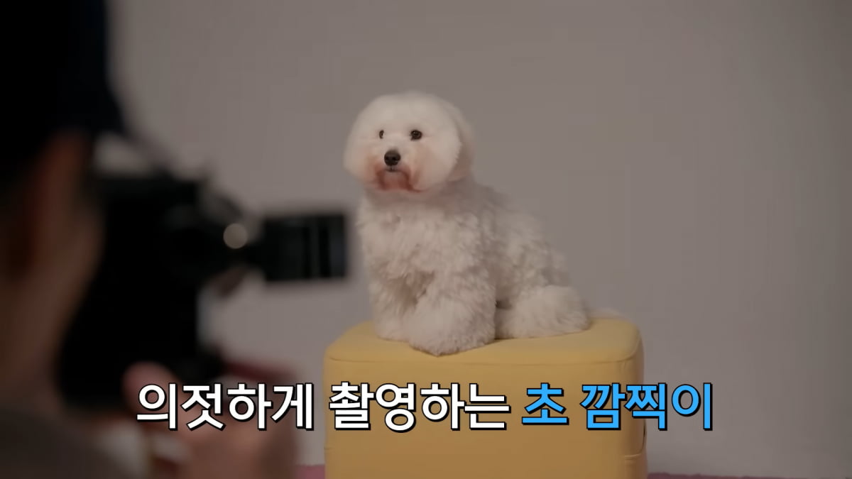 사진=유튜브 채널 '임영웅' 갈무리