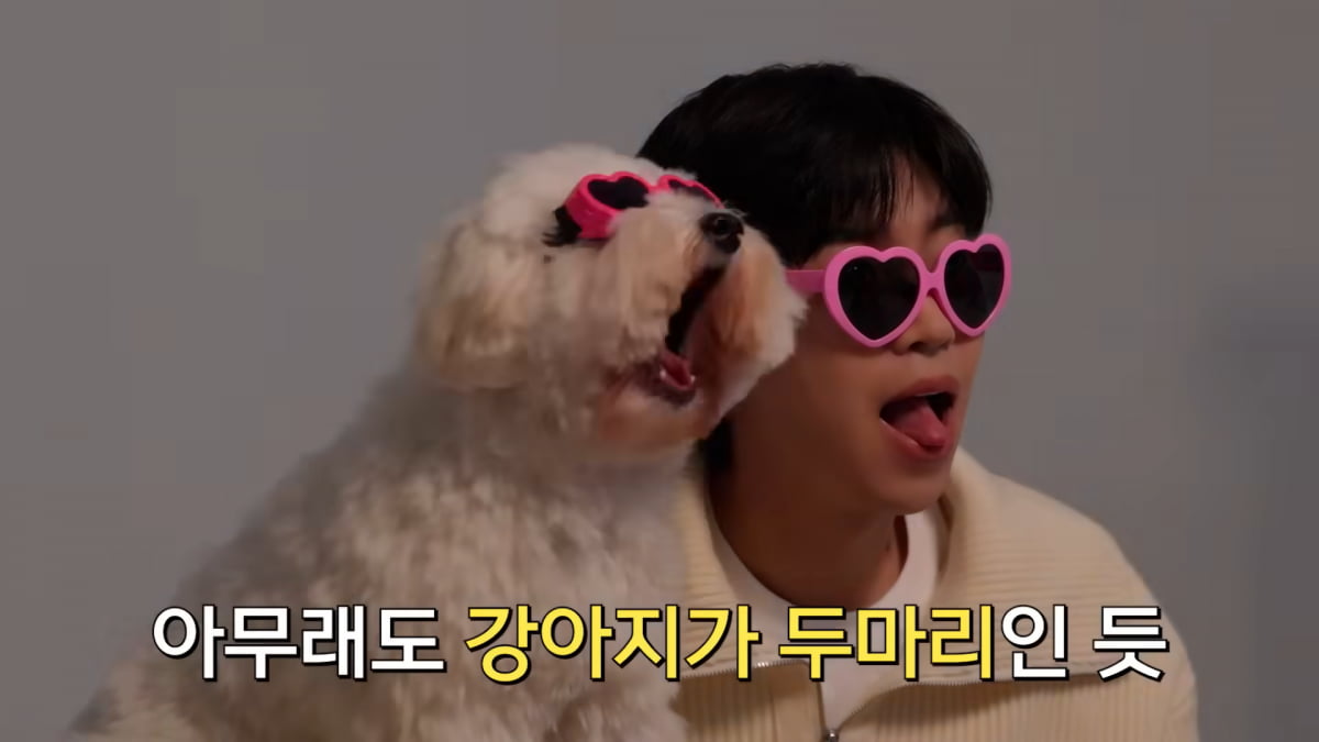 사진=유튜브 채널 '임영웅' 갈무리