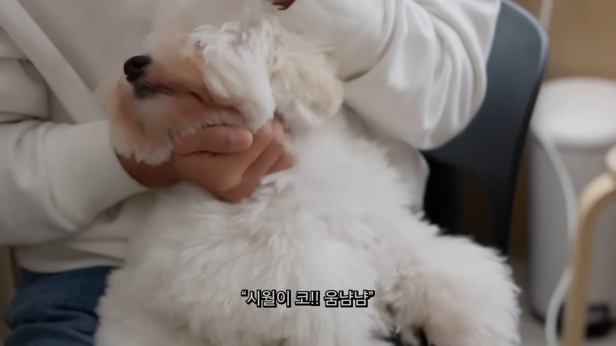 사진=유튜브 채널 '임영웅' 갈무리