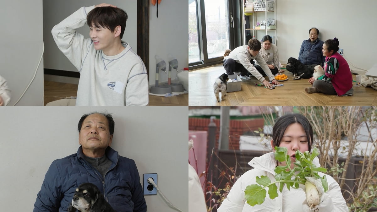 [사진 = KBS 2TV '살림남' 제공] 