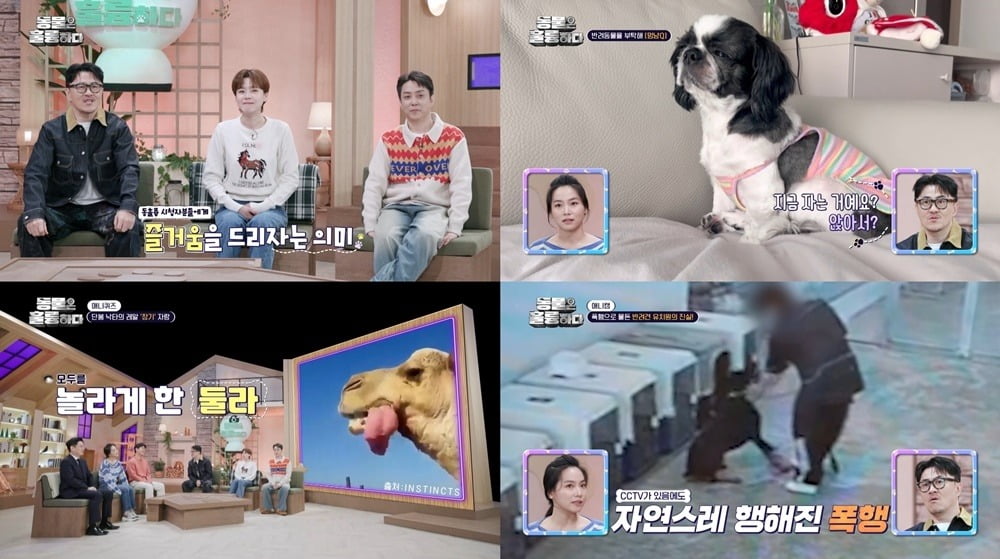 사진=KBS2 '동물은 훌륭하다' 캡처