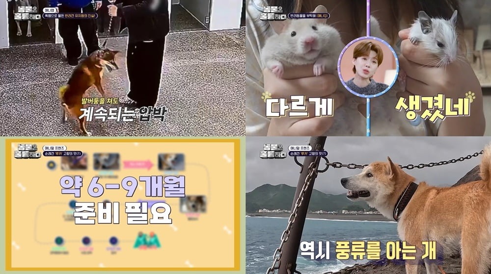 사진=KBS2 '동물은 훌륭하다' 캡처