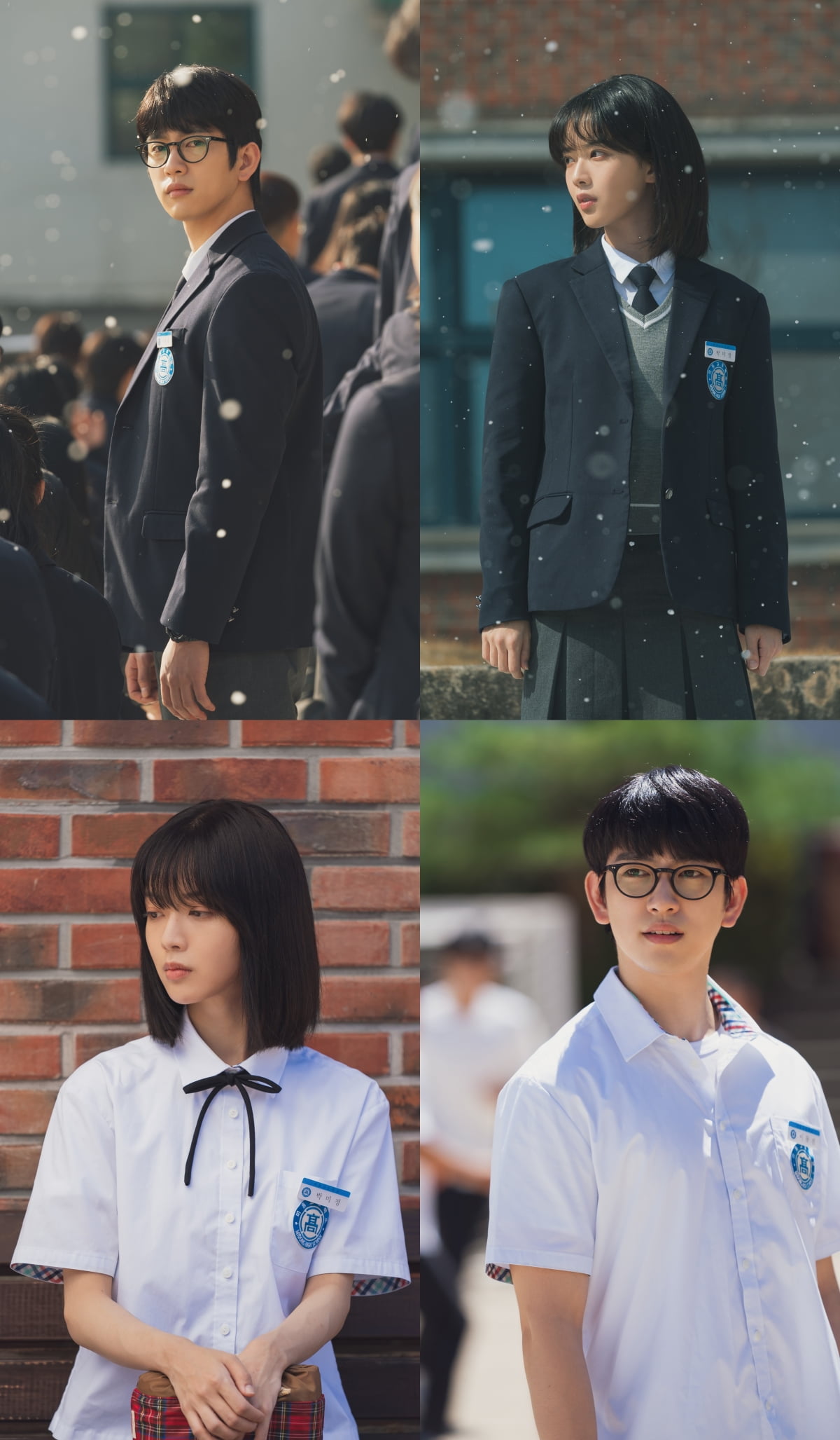 사진제공= 쇼박스, 미스터로맨스