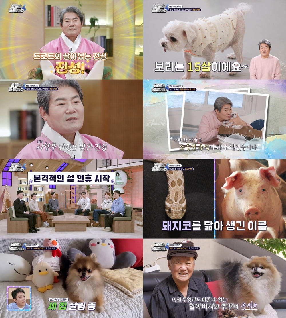 사진 = KBS2 '동물은 훌륭하다' 방송 캡처