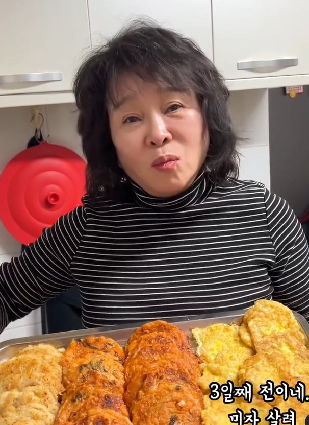 사진=미자 SNS