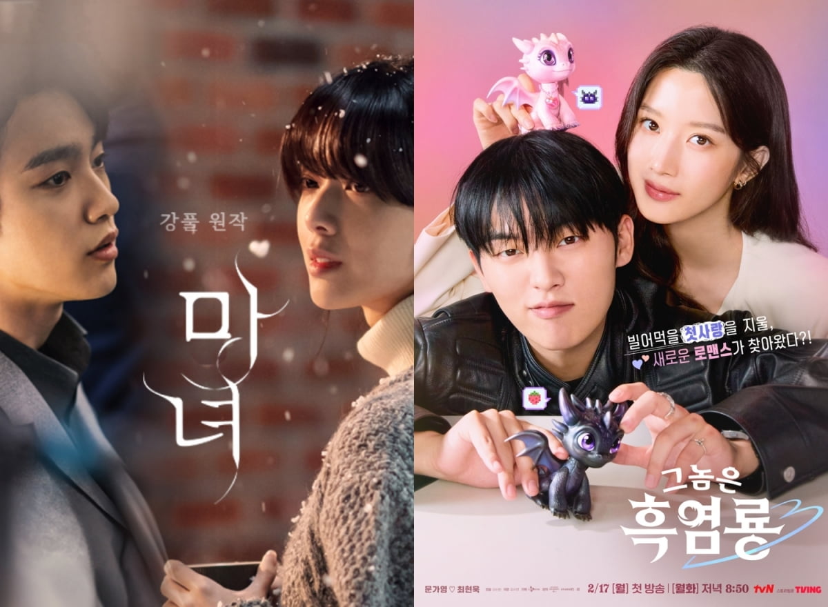 사진 제공=채널A, tvN