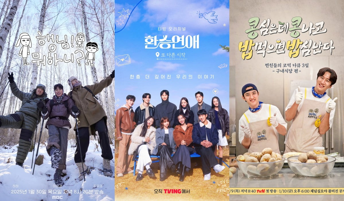 '행님 뭐하니?', '환승연애, 또 다른 시작', '콩 심은 데 콩 나고 밥 먹으면 밥심 난다' 포스터. / 사진제공=MBC, 티빙, tvN
