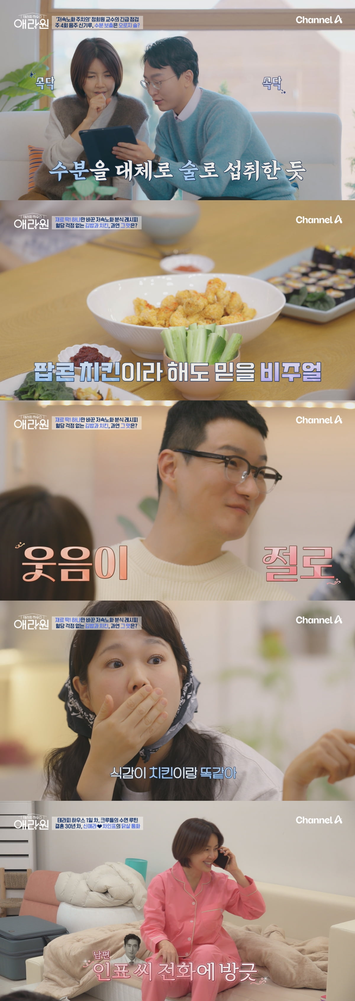 / 사진= 채널A '테라피 하우스-애라원'