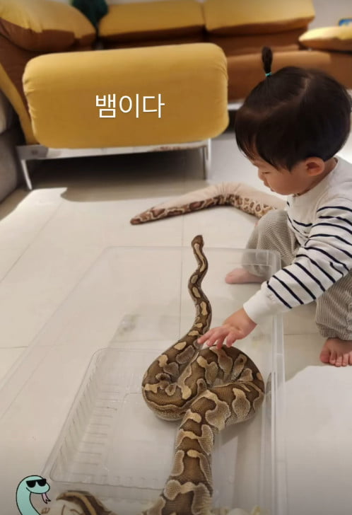 사진=전혜빈 SNS